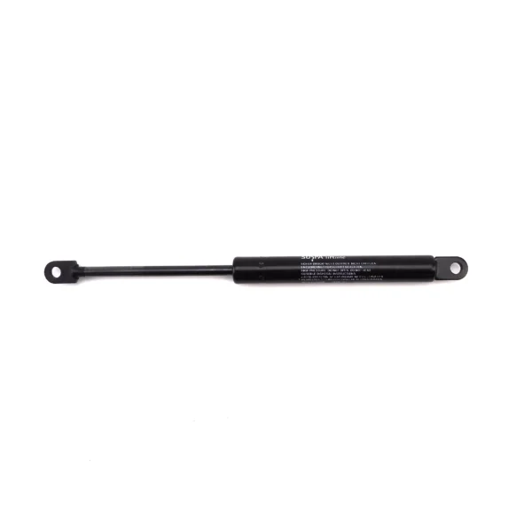 GAS STRUT 300N (SQUEEGEE PRESSURE)